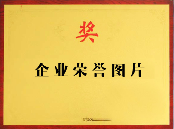 企業(yè)榮譽(yù)展示